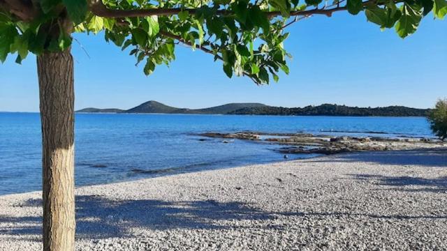 Zsa Zsa Holiday Home Srima Eksteriør billede